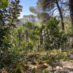 Ritiro Arte in Natura, risvegliamo la creatività