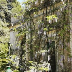 Ritiro Arte in Natura, risvegliamo la creatività