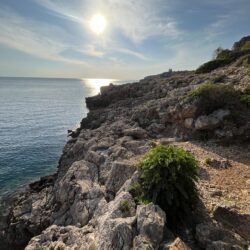 Ritiro Arte in Natura, risvegliamo la creatività