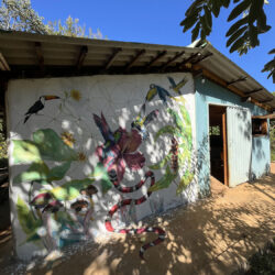 Murales in Brasile