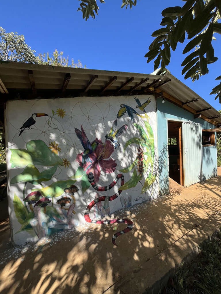 Murales in Brasile