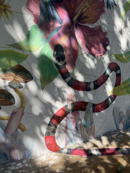 Murales in Brasile
