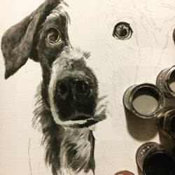 Pet portrait di Giulia Meregalli