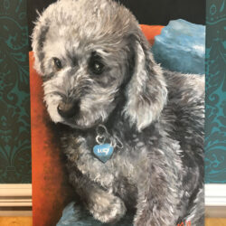 Pet portrait di Giulia Meregalli