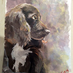 Pet portrait di Giulia Meregalli