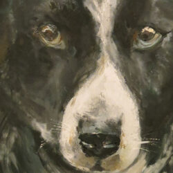 Pet portrait di Giulia Meregalli