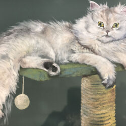 Pet portrait di Giulia Meregalli