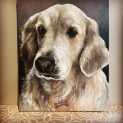 Pet portrait di Giulia Meregalli
