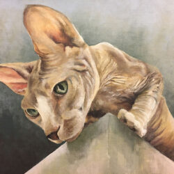 Pet portrait di Giulia Meregalli