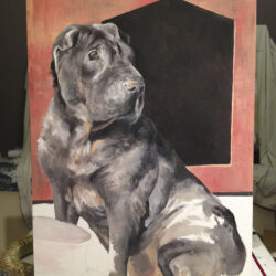 Pet portrait di Giulia Meregalli