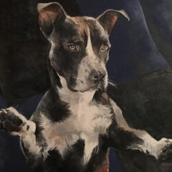 Pet portrait di Giulia Meregalli