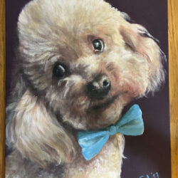 Pet portrait di Giulia Meregalli