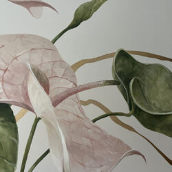 Anthurium, parete floreale