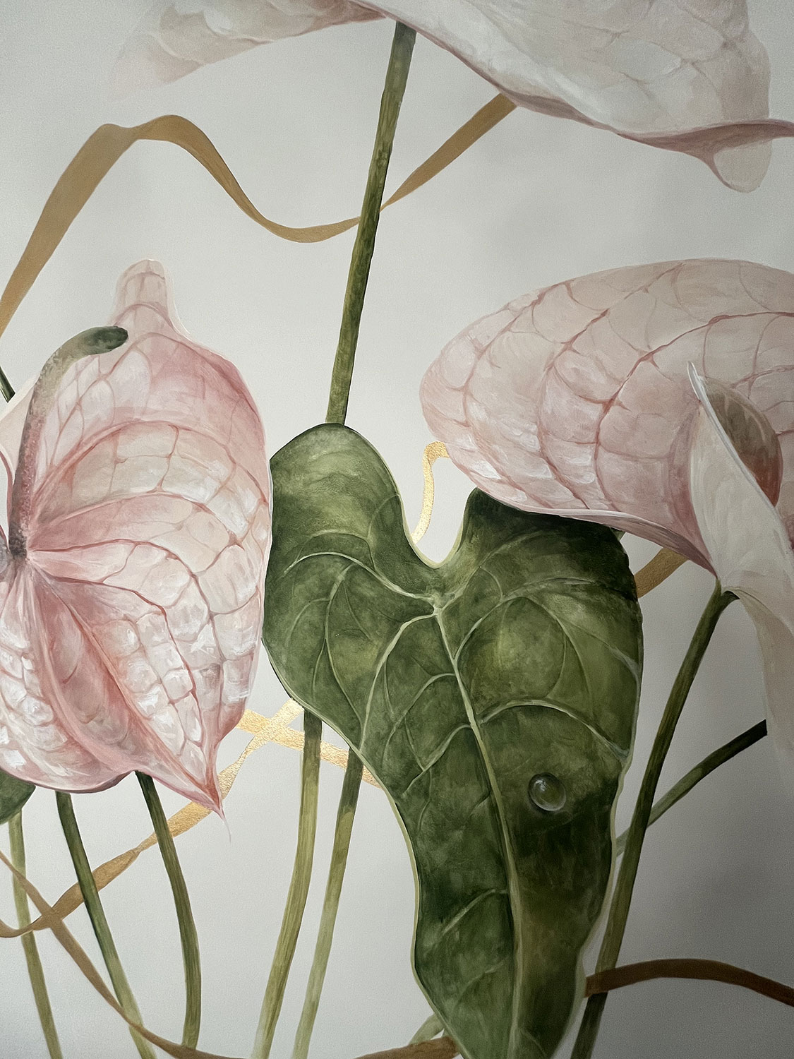 Anthurium, parete floreale