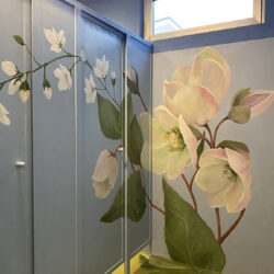 Ortensie ed Helleborus