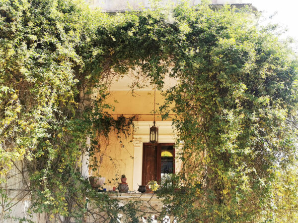 Ritiro ARTE IN NATURA