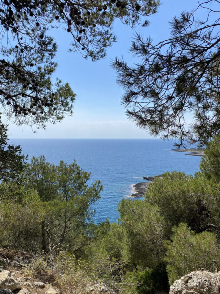 Ritiro ARTE IN NATURA