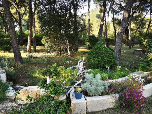 Ritiro ARTE IN NATURA