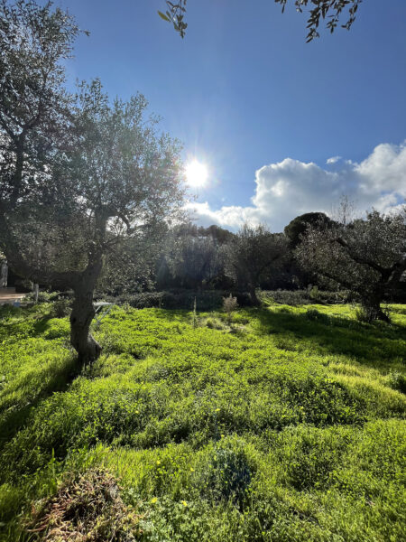 Ritiro ARTE IN NATURA