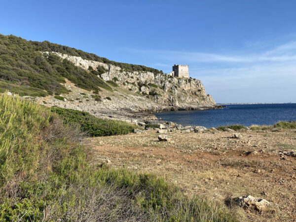 Ritiro ARTE IN NATURA